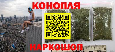прущие грибы Мариинск