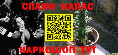 прущие грибы Мариинск
